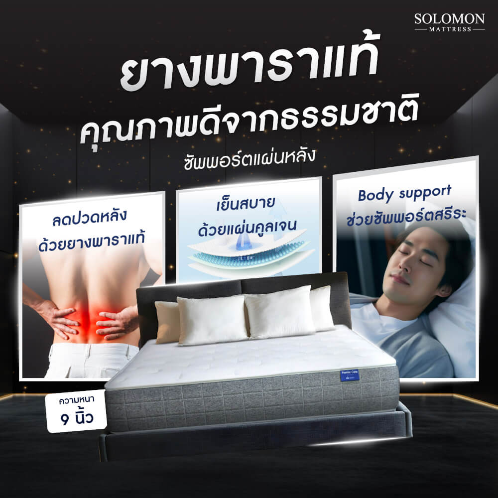 ที่นอน 6 ฟุต SOLOMON รุ่น COCO หนา 9 นิ้ว_3